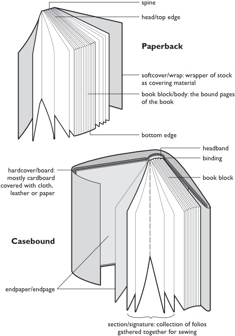 Book anatomy